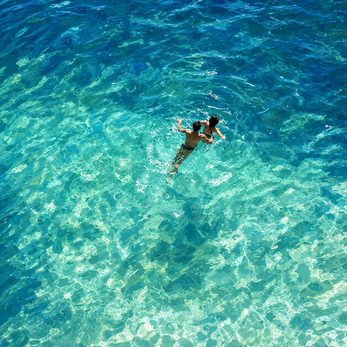 Two Swimmers in Sunlit Turquoise Water Wall Art artwork view | Olyrel